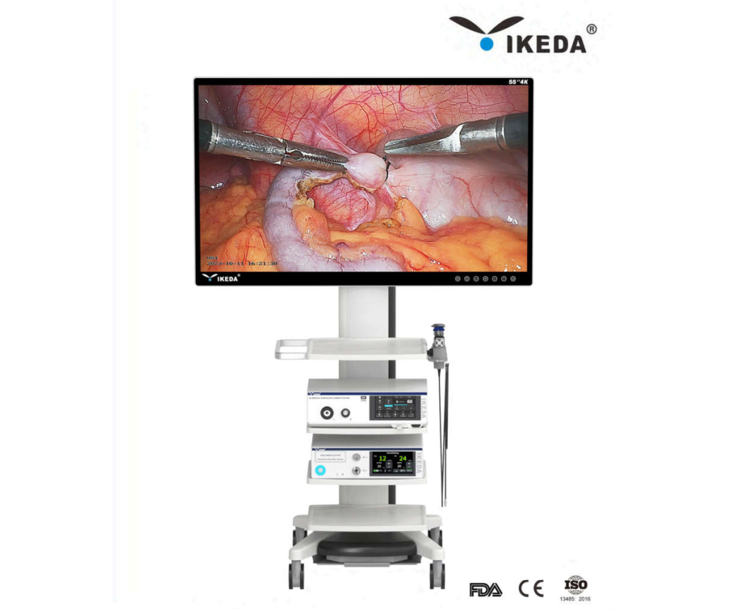 Endoscopy imaging